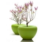 Photo : Jardinière SCOOP